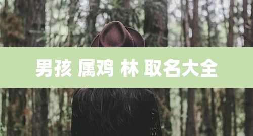 男孩 属鸡 林 取名大全