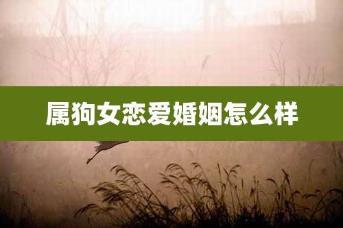 属狗女恋爱婚姻怎么样