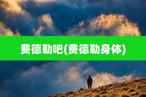 费德勒吧(费德勒身体)