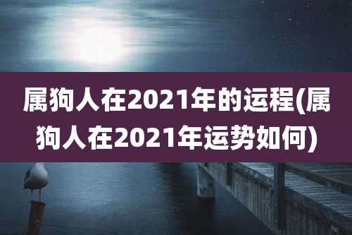属狗人在2021年的运程(属狗人在2021年运势如何)