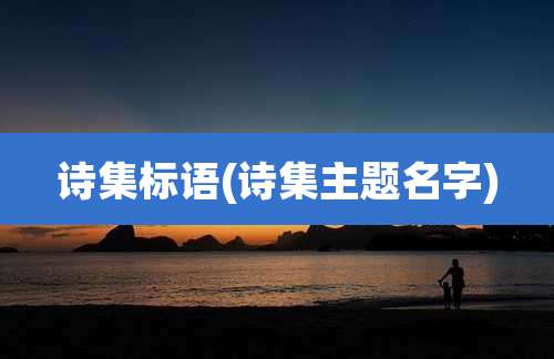 诗集标语(诗集主题名字)