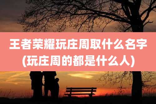 王者荣耀玩庄周取什么名字(玩庄周的都是什么人)