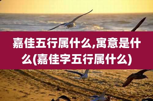 嘉佳五行属什么,寓意是什么(嘉佳字五行属什么)