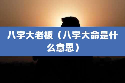 八字大老板（八字大命是什么意思）