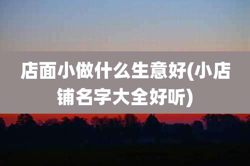 店面小做什么生意好(小店铺名字大全好听)