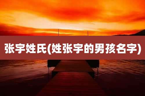 张宇姓氏(姓张宇的男孩名字)
