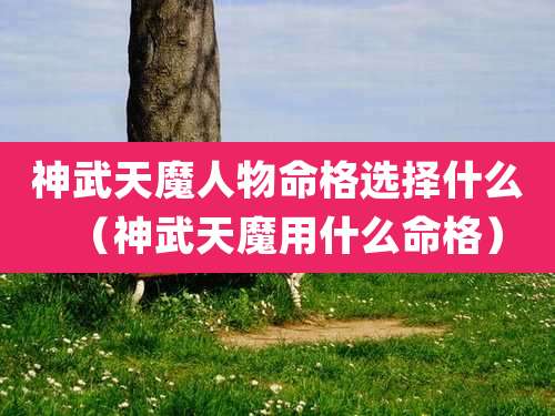 神武天魔人物命格选择什么(神武天魔用什么命格)