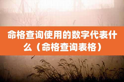 命格查询使用的数字代表什么（命格查询表格）