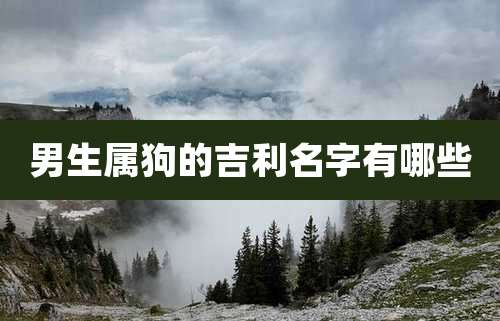 男生属狗的吉利名字有哪些