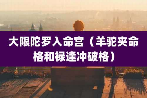 大限陀罗入命宫（羊驼夹命格和禄逢冲破格）