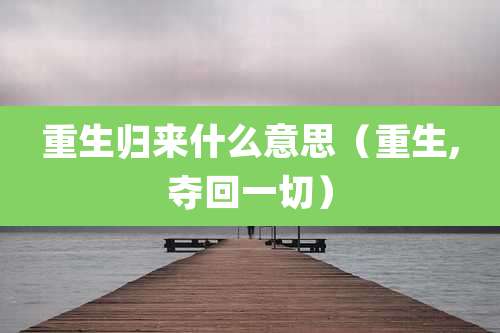 重生归来什么意思（重生,夺回一切）