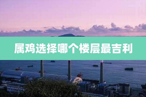 属鸡选择哪个楼层最吉利