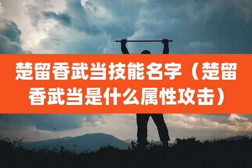 楚留香武当技能名字（楚留香武当是什么属性攻击）