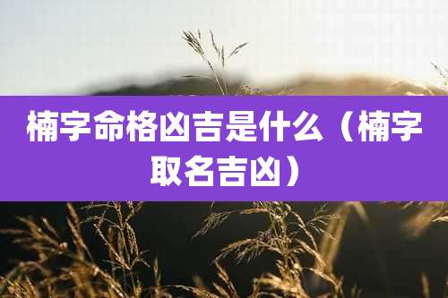 楠字命格凶吉是什么(楠字取名吉凶)