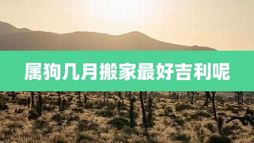 属狗几月搬家最好吉利呢