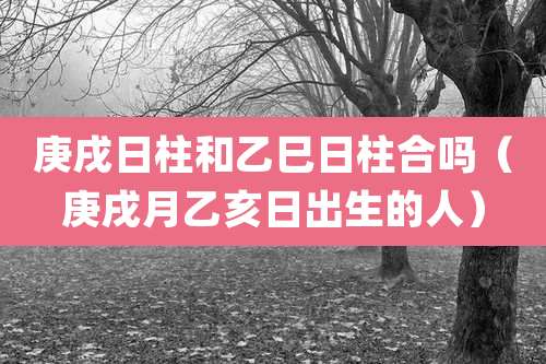 庚戌日柱和乙巳日柱合吗（庚戌月乙亥日出生的人）