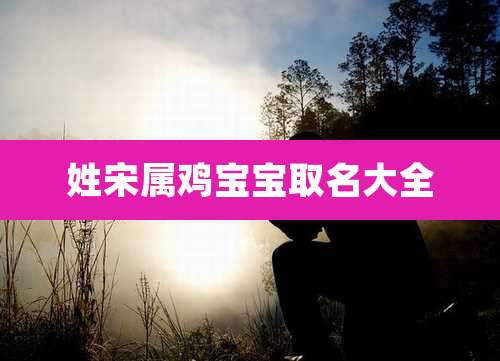 姓宋属鸡宝宝取名大全