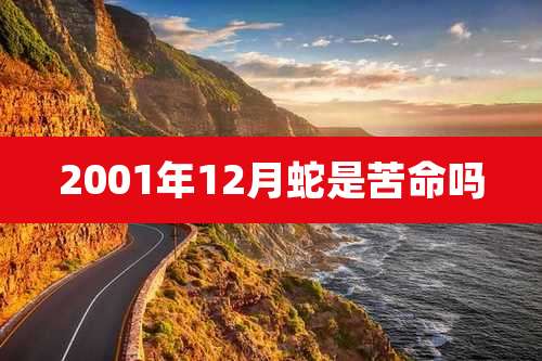 2001年12月蛇是苦命吗