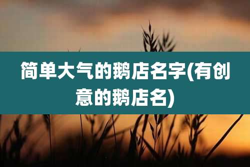 简单大气的鹅店名字(有创意的鹅店名)