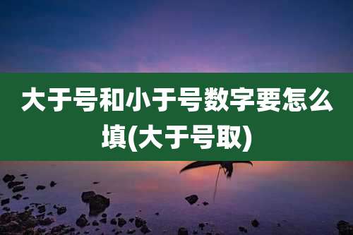 大于号和小于号数字要怎么填(大于号取)