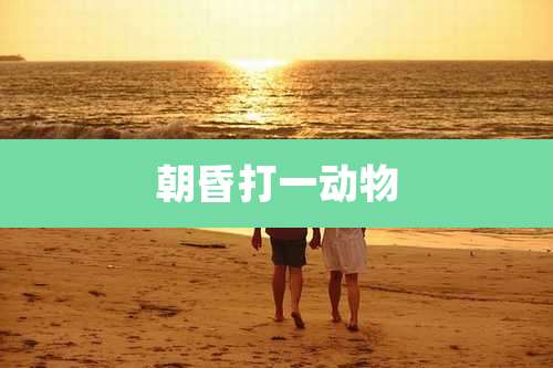 朝昏打一动物