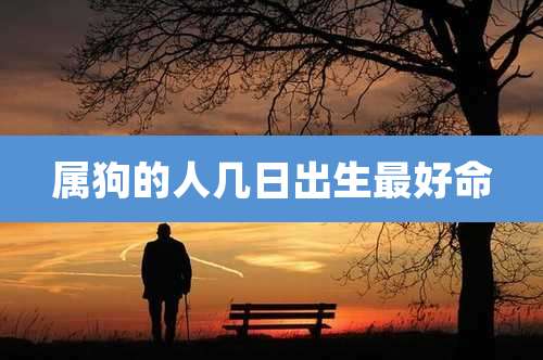 属狗的人几日出生最好命