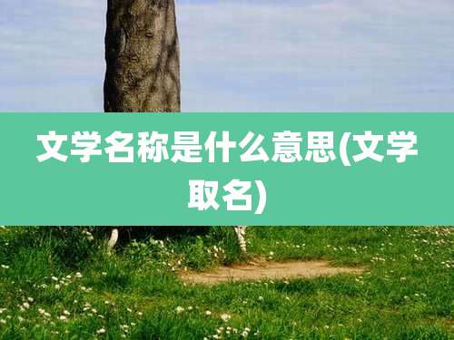文学名称是什么意思(文学取名)