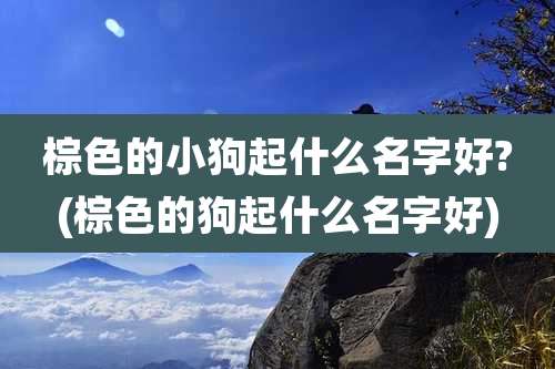 棕色的小狗起什么名字好?(棕色的狗起什么名字好)