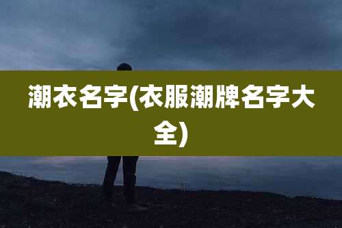 潮衣名字(衣服潮牌名字大全)