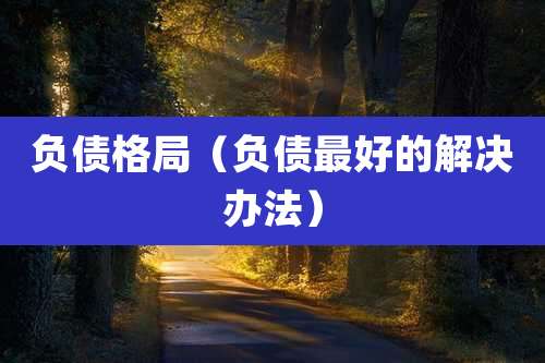 负债格局（负债最好的解决办法）