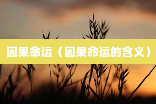 因果命运（因果命运的含义）
