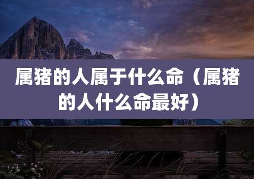 属猪的人属于什么命(属猪的人什么命最好)