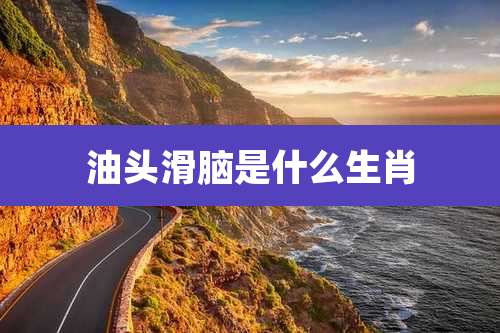 油头滑脑是什么生肖