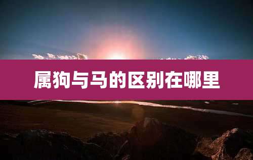 属狗与马的区别在哪里