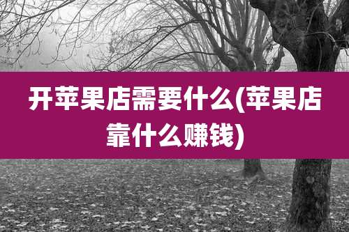 开苹果店需要什么(苹果店靠什么赚钱)