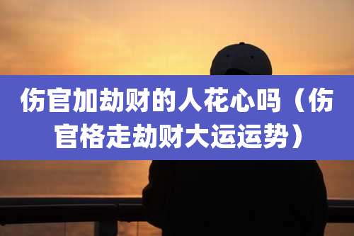 伤官加劫财的人花心吗(伤官格走劫财大运运势)