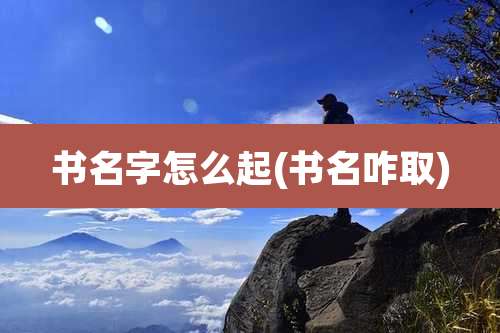 书名字怎么起(书名咋取)