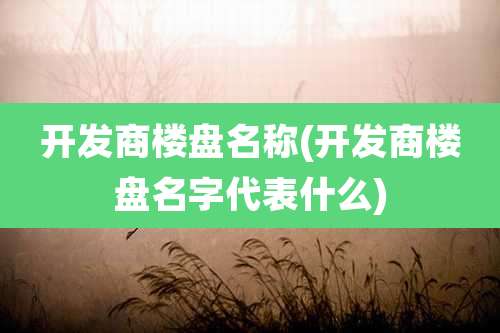 开发商楼盘名称(开发商楼盘名字代表什么)