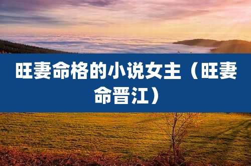 旺妻命格的小说女主(旺妻命晋江)