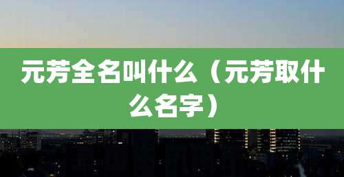 元芳全名叫什么（元芳取什么名字）