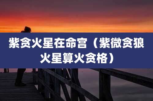 紫贪火星在命宫（紫微贪狼火星算火贪格）