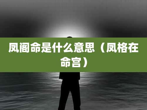 凤阁命是什么意思（凤格在命宫）