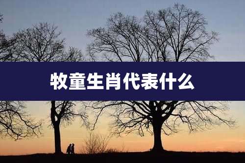 牧童生肖代表什么