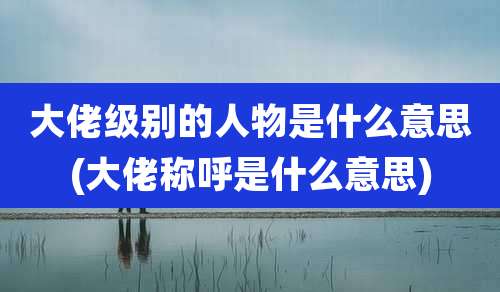 大佬级别的人物是什么意思(大佬称呼是什么意思)