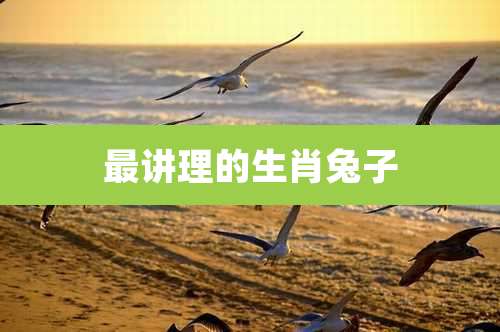 最讲理的生肖兔子