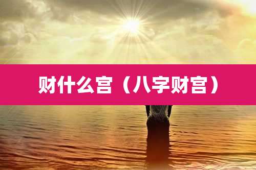 财什么宫(八字财宫)