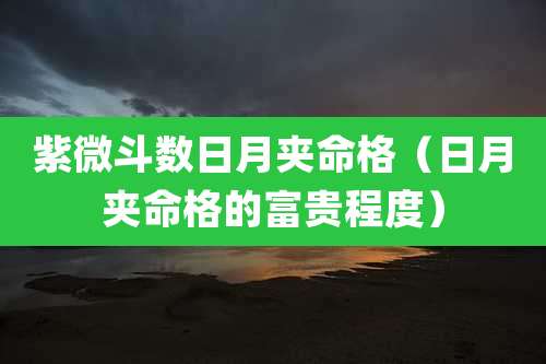 紫微斗数日月夹命格（日月夹命格的富贵程度）
