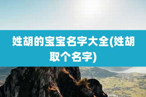 姓胡的宝宝名字大全(姓胡取个名字)