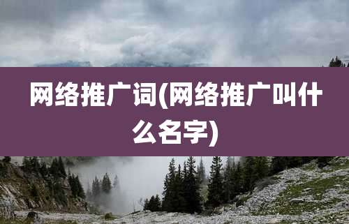 网络推广词(网络推广叫什么名字)