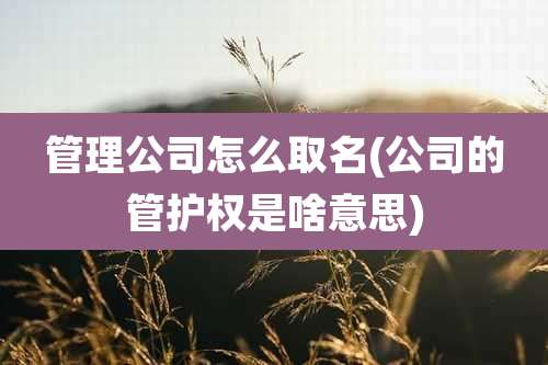 管理公司怎么取名(公司的管护权是啥意思)